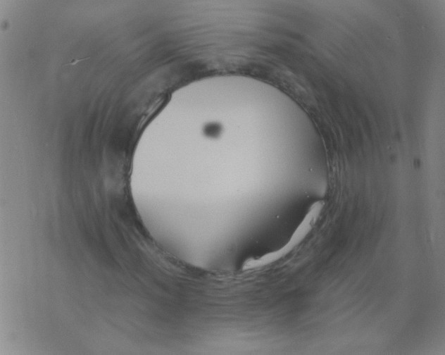 X0000075841012200610061842