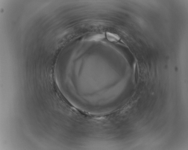 X0000075841013200610061842