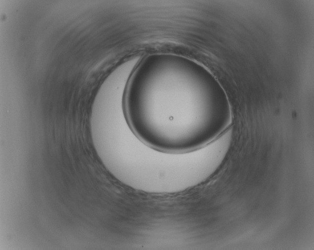 X0000075841014200610061842