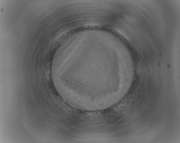 X0000075841015200610061842