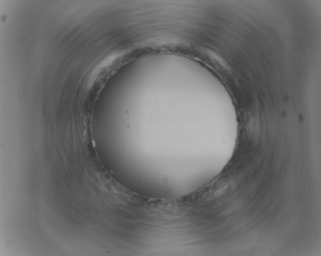 X0000075841016200610061842