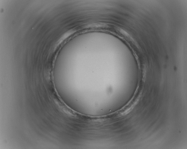 X0000075841017200610061842