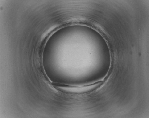 X0000075841018200610061842