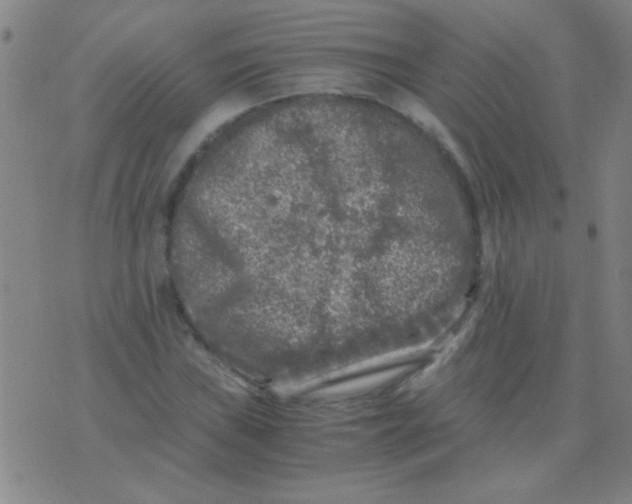 X0000075841019200610061842