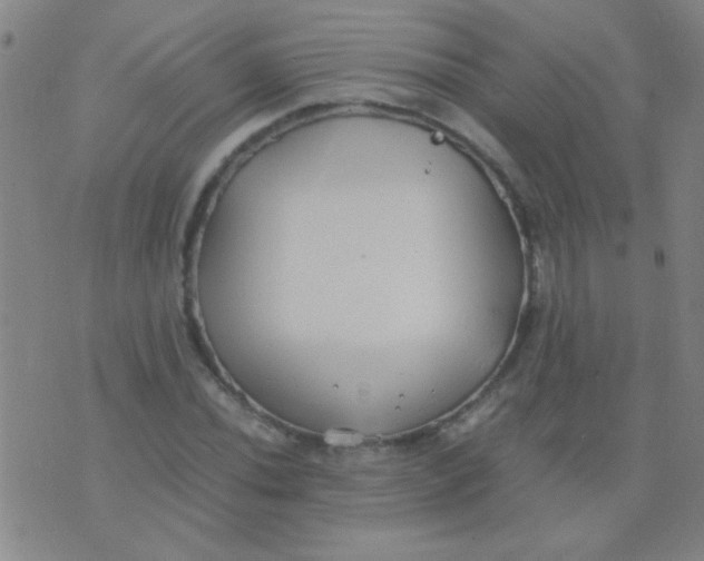 X0000075841020200610061842