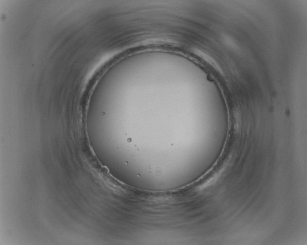 X0000075841021200610061842