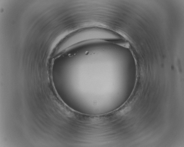 X0000075841022200610061842