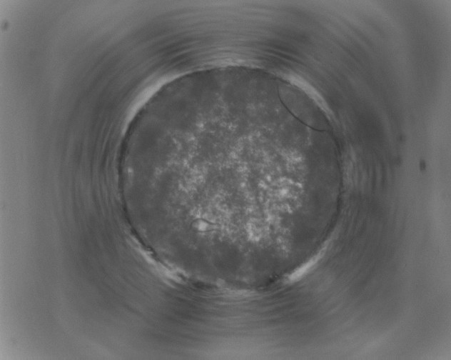 X0000075841023200610061842