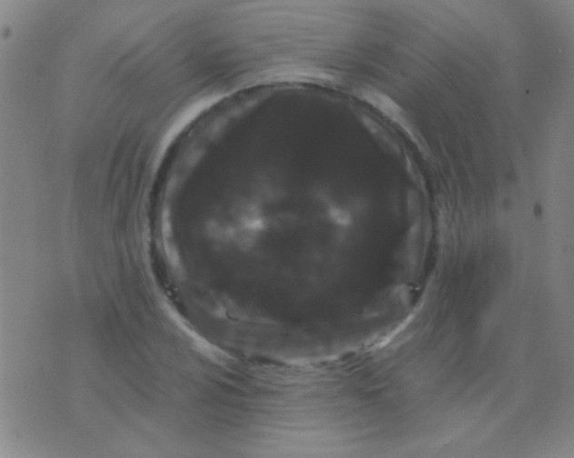 X0000075841024200610061842