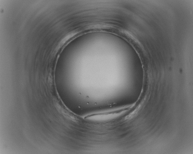 X0000075841025200610061842