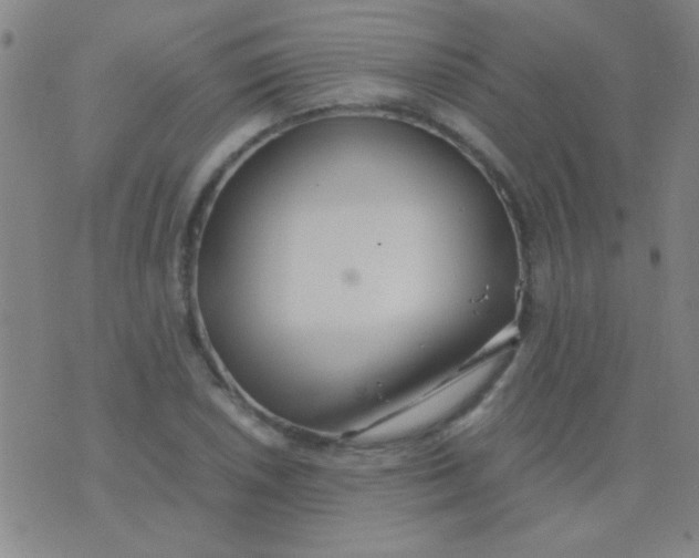 X0000075841026200610061842