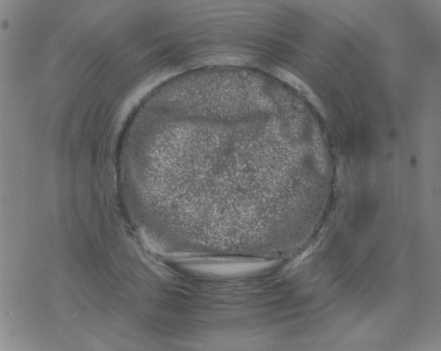 X0000075841027200610061842