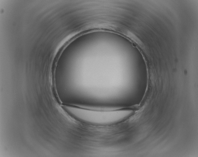 X0000075841028200610061842