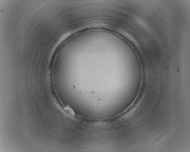 X0000075841029200610061842