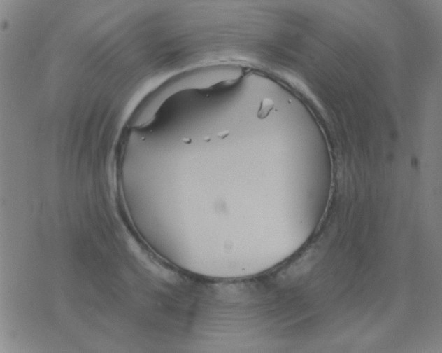 X0000075841032200610061842