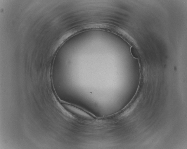 X0000075841033200610061842