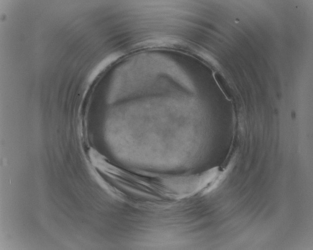 X0000075841034200610061842