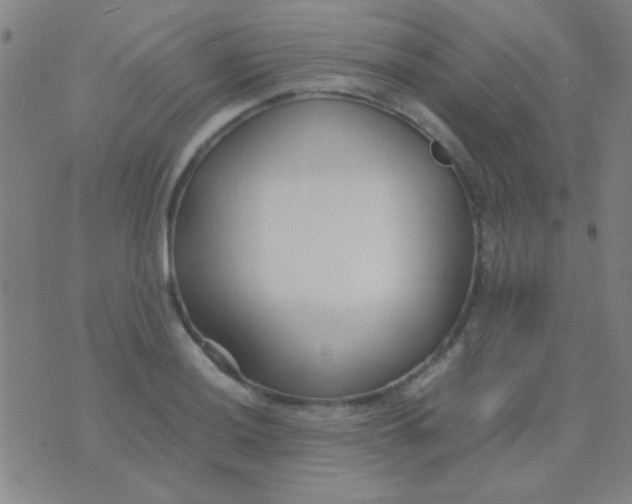 X0000075841036200610061842