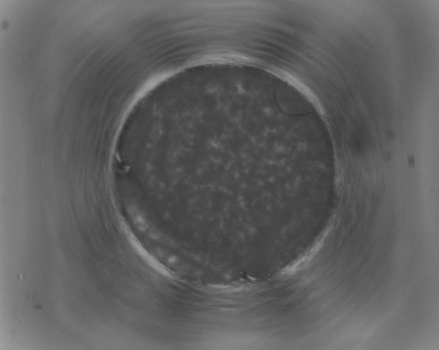 X0000075841037200610061842