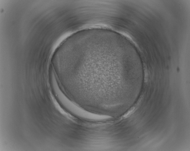 X0000075841038200610061842