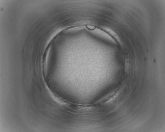 X0000075841039200610061842