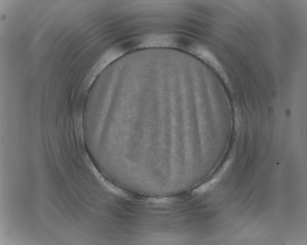 X0000075841041200610061842