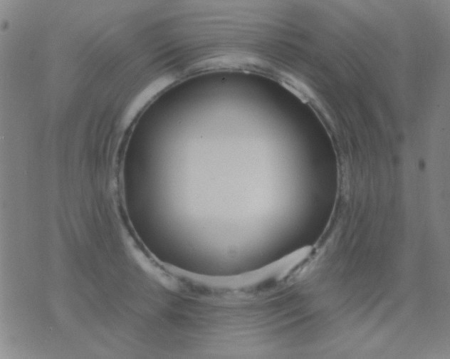 X0000075841042200610061842