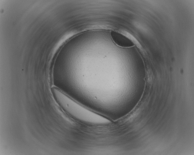 X0000075841043200610061842