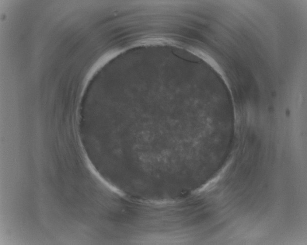 X0000075841045200610061842