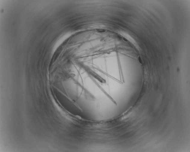 X0000075841047200610061842