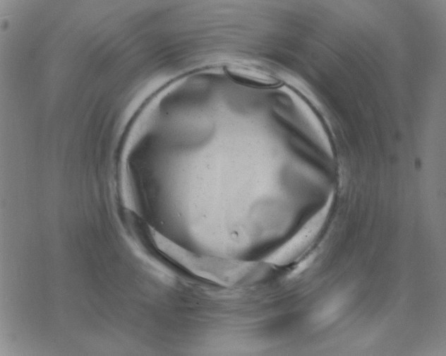 X0000075841048200610061842