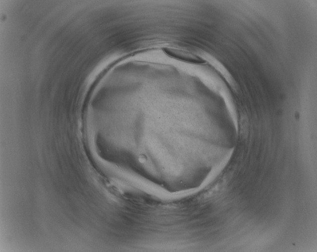 X0000075841051200610061842