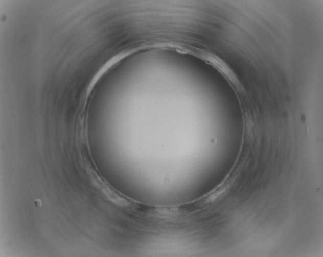 X0000075841052200610061842