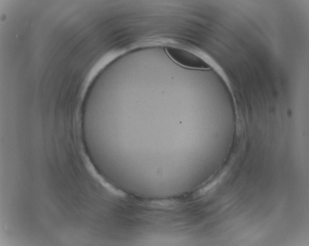 X0000075841053200610061842