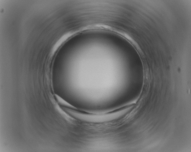 X0000075841054200610061842