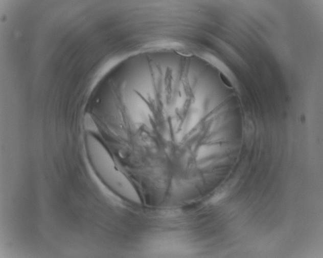 X0000075841055200610061842