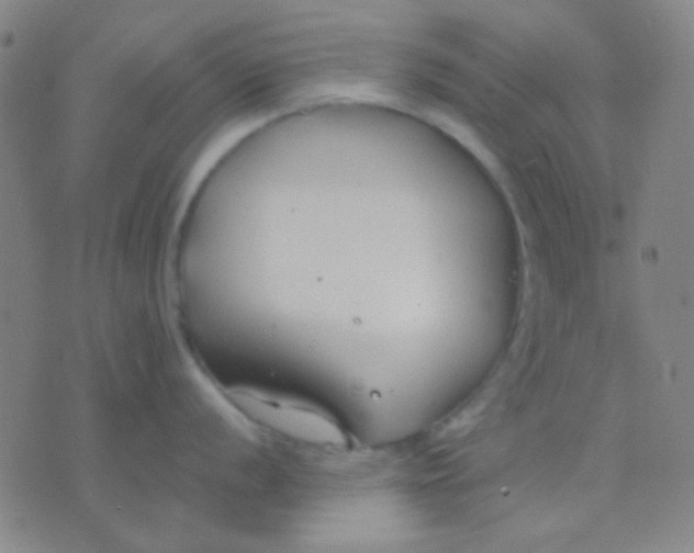 X0000075841056200610061842