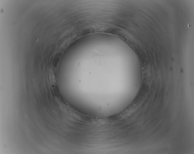 X0000075841058200610061841