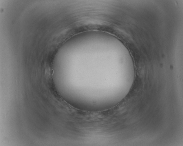 X0000075841061200610061841