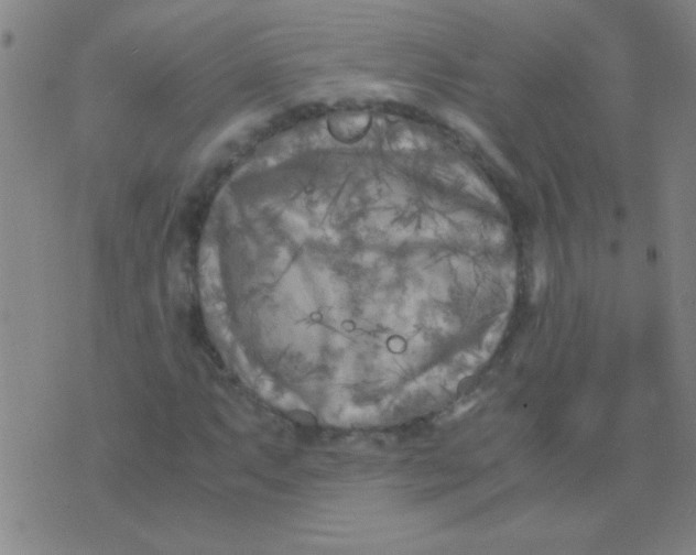 X0000075841063200610061841