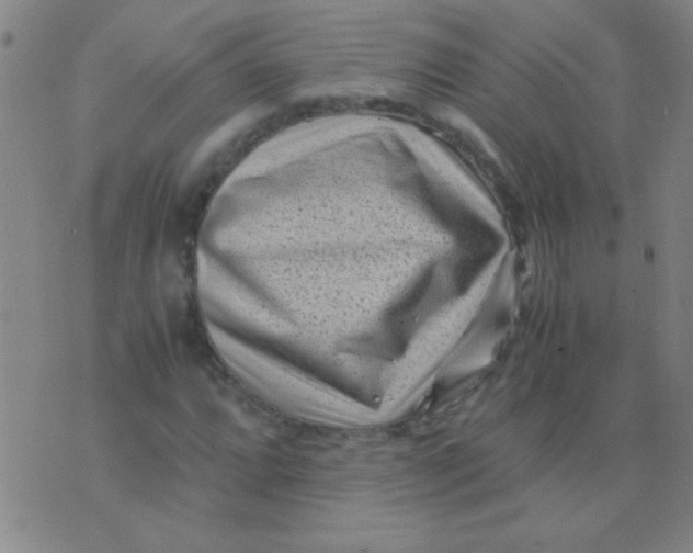 X0000075841064200610061841