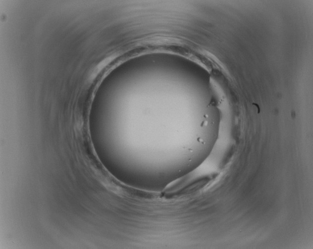 X0000075841065200610061841