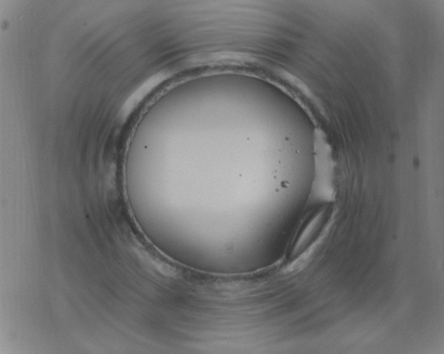 X0000075841066200610061841