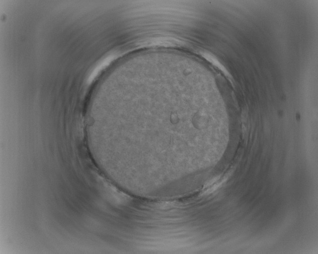 X0000075841067200610061841