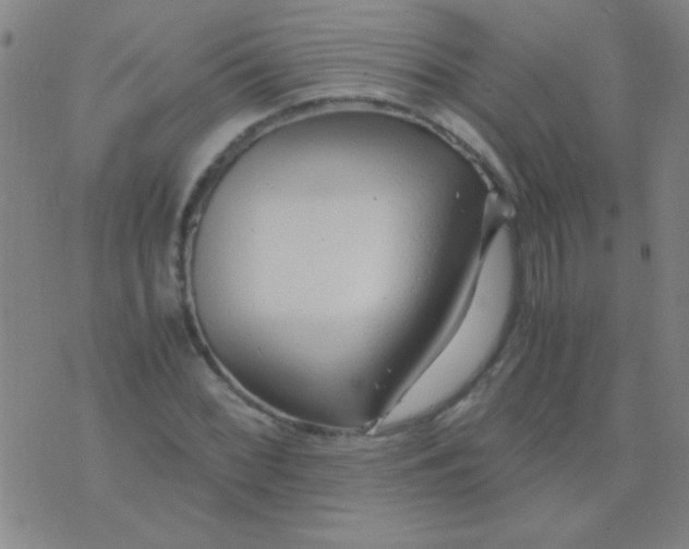 X0000075841068200610061841