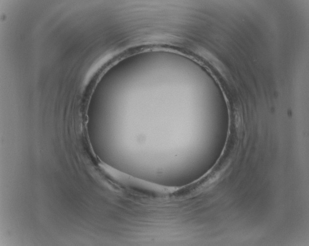 X0000075841069200610061841