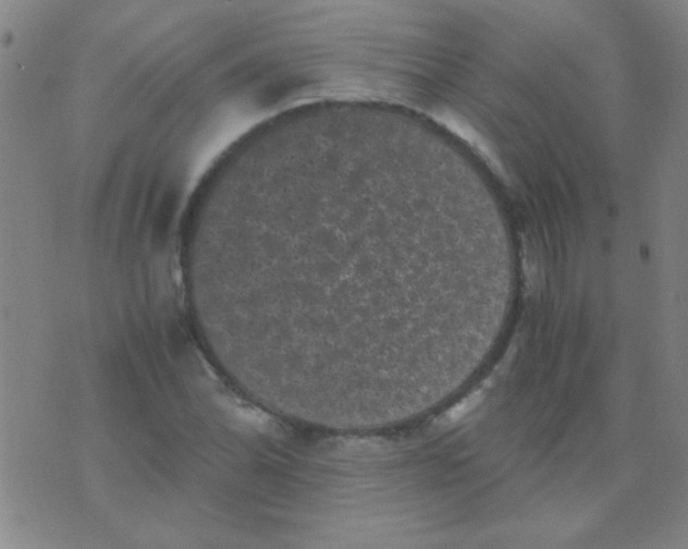 X0000075841070200610061841