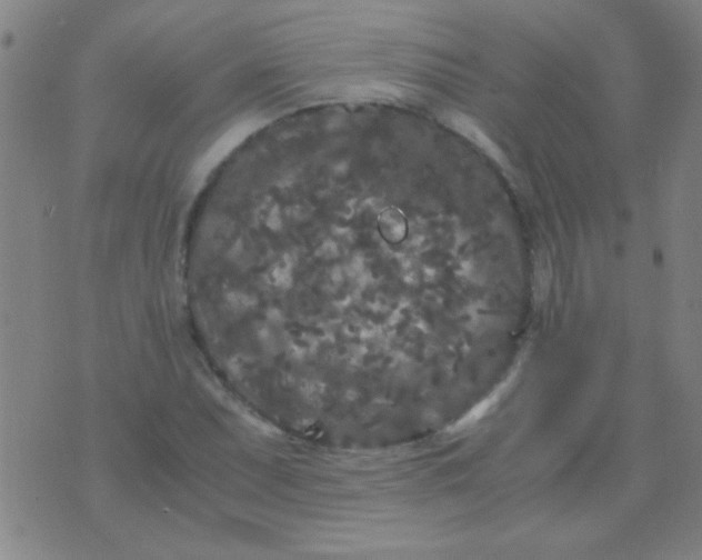 X0000075841071200610061841