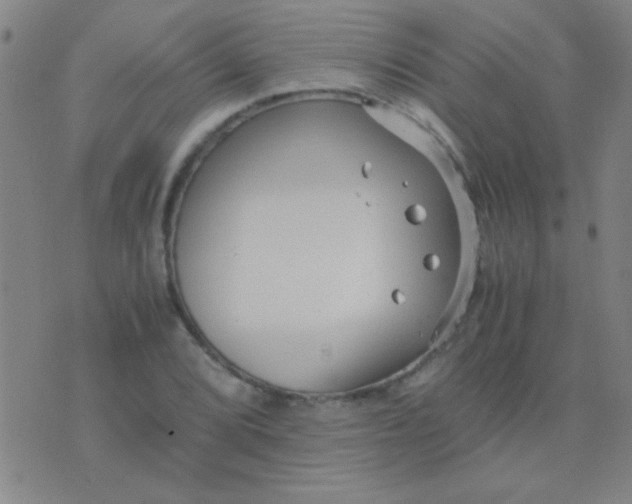 X0000075841072200610061841