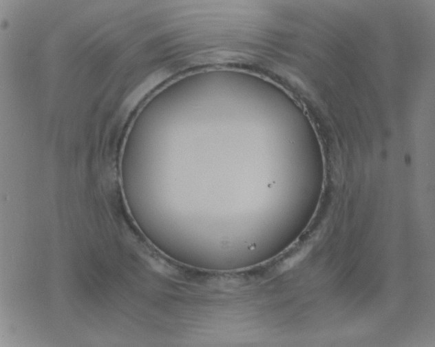 X0000075841073200610061841